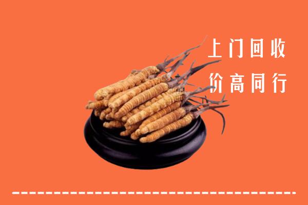 高价求购：文水县回收散虫草