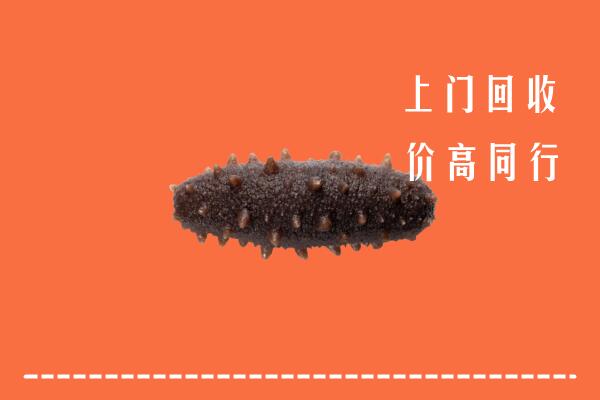 高价求购：文水县回收海参