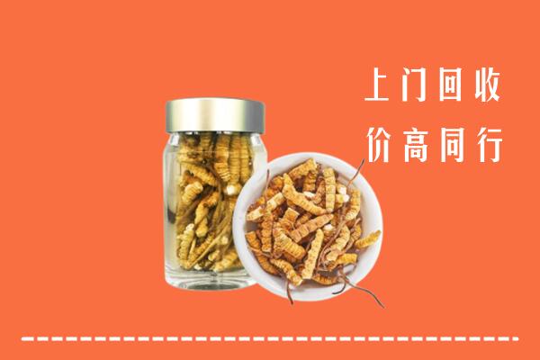 文水县高价回收冬虫夏草